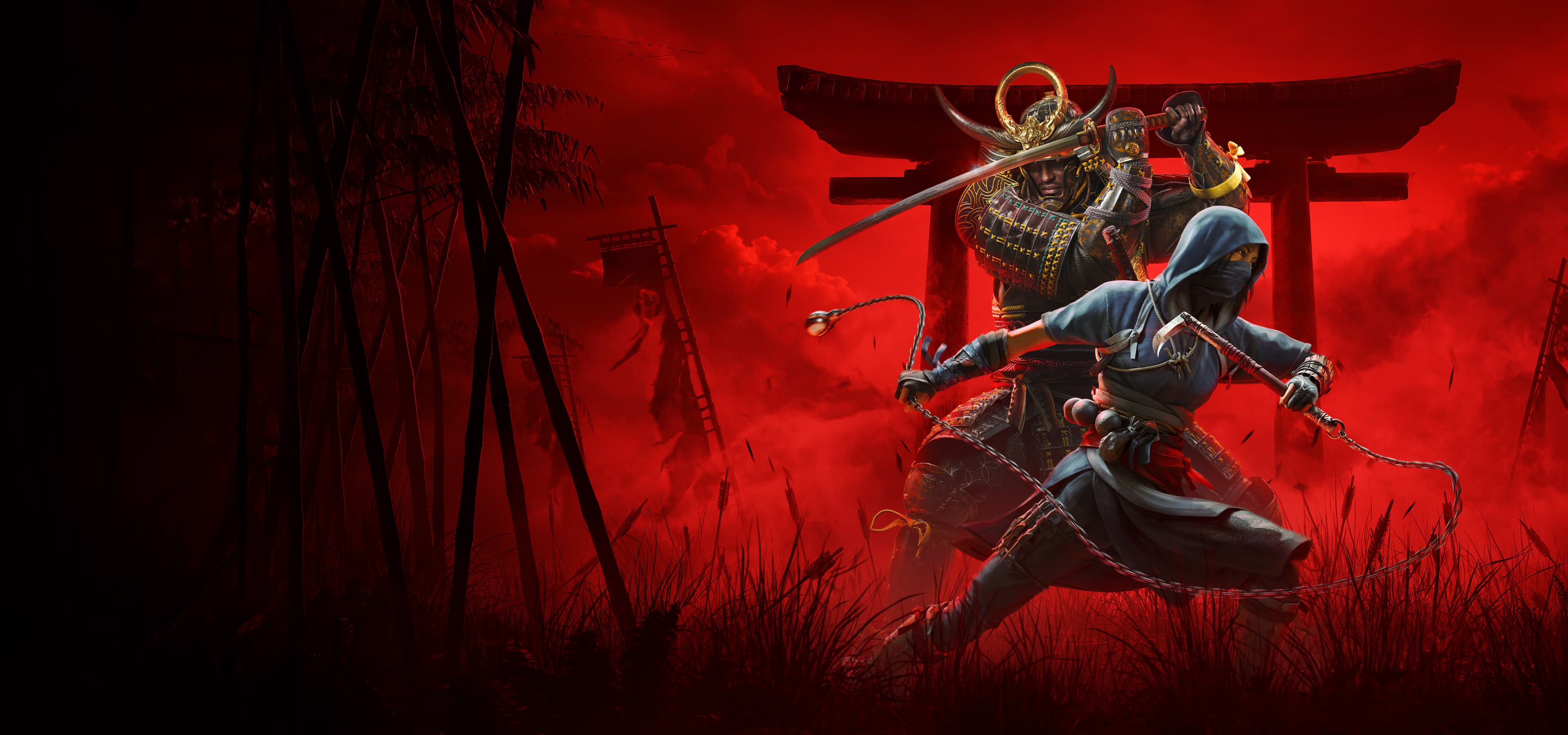 Assassin Shadow